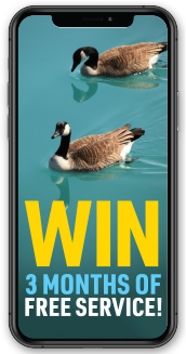 Prize